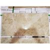 Image 2 : PALLET OF 450 PCS OF 24X12" CAPPUCCINO COLOURED PORCELAIN TILE