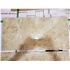 Image 2 : PALLET OF 450 PCS OF 24X12" CAPPUCCINO COLOURED PORCELAIN TILE