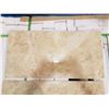 Image 2 : PALLET OF 450 PCS OF 24X12" PORCELAIN TILE