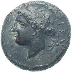Sicily. Tyndaris.  AE 19 mm. 396-345 a.C. D/ ????