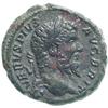 Image 1 : Septimius Severus (193-211) Asse.