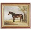 Image 1 : GEORGE ARMFIELD Portrait of a Horse 17"x 21"