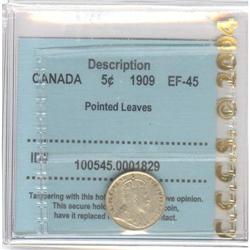 5 Cents 1909, CCCS EF-45; Pointed Leaves
