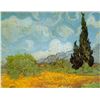 Image 1 : Van Gogh - Haute Gafille