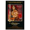 Image 1 : Conan the Destroyer 1984 original vintage movie poster