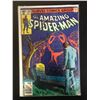 Image 1 : THE AMAZING SPIDER-MAN #196 (MARVEL COMICS)
