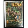 Image 1 : TARZAN OF THE APES #173 (GOLD KEY COMICS)