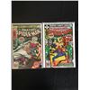Image 1 : THE AMAZING SPIDER-MAN #163/ #166 (MARVEL COMICS)