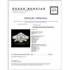 Image 4 : 18K White Gold 2.86ctw Diamond Ring