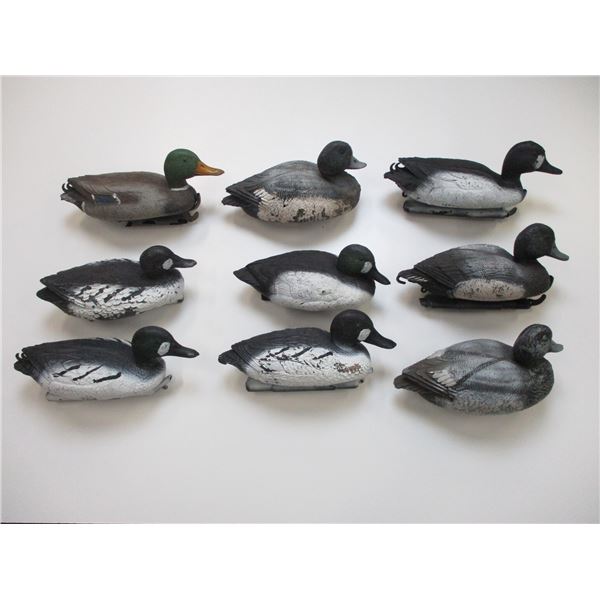 PLASTIC DUCK DECOYS
