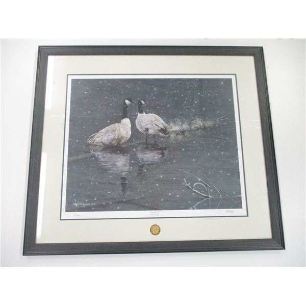FRAMED PICTURE OF DUCKS