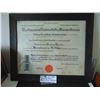 Image 1 : 858 1912 SCOTTISH UNIVERSITY DEGREE FRAMED