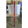 Image 1 : Downhill Skiis - Dynastar 170cm no bindings