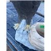 Image 4 : Eagle Planter - Concrete 14" high x 12" wide