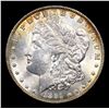 Image 2 : 1891-p Top 100 vam 2 Morgan Dollar $1 Grades Select+ Unc