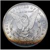 Image 3 : 1878-p 7tf vam 195 I2 R3 Morgan Dollar $1 Grades Choice+ Unc