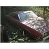 Image 2 : 1969 MERCURY MONTEGO 2 DOOR HARDTOP 351 ENGINE NO REGISTRATION