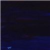 Image 2 : Wyland, "Sea Fire" Framed Original Oil Painting on Canvas, Hand Signed with Letter of Authenticity.
