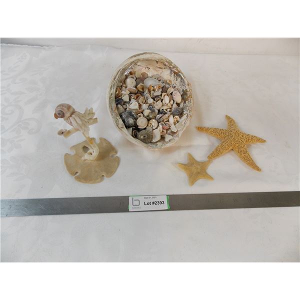 Large collection of small seashells, two starfish + handmade bird ornament from shells