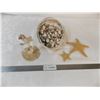 Image 1 : Large collection of small seashells, two starfish + handmade bird ornament from shells