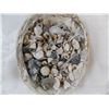 Image 7 : Large collection of small seashells, two starfish + handmade bird ornament from shells