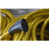 Image 4 : lot of extension cords