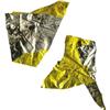 Image 1 : Two Small Pieces of Apollo 11 Flown Kapton Foil