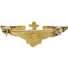 Image 3 : Apollo 12 Flown Miniature Navy Wings Pin