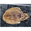 Image 2 : Muskrat hat, size large