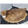 Image 2 : Fur pelts, muskrat and rabbit (1 of each)