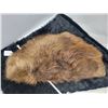 Image 4 : Fur pelts, muskrat and rabbit (1 of each)