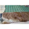 Image 6 : Deer hide throw lined with chequered wool blanket, 64”x58” and tub