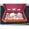Image 1 : Cedar box with seashell collection