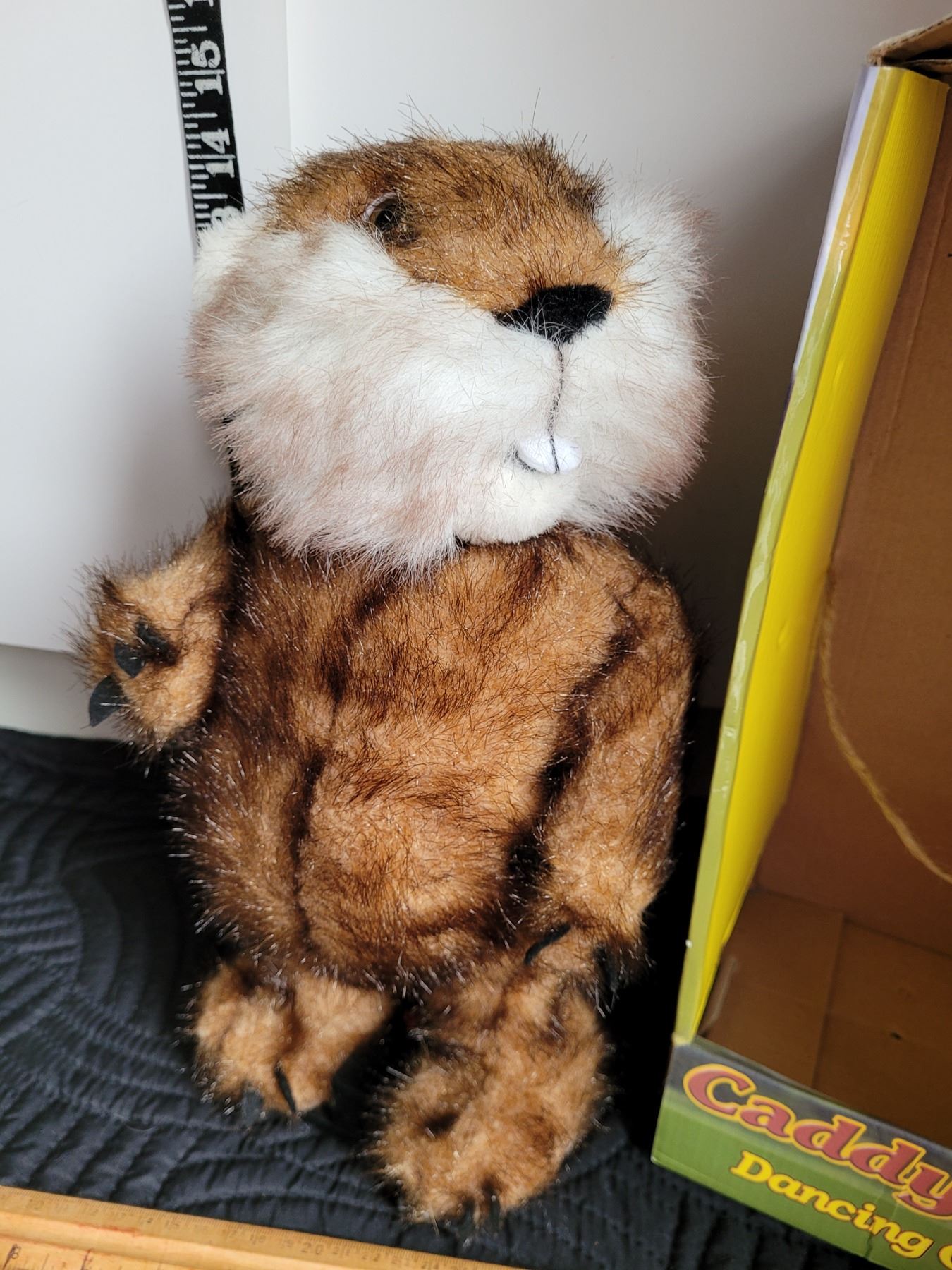 Vintage Original Caddy Shack dancing Gopher in box. - Schmalz Auctions