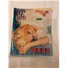 Image 1 : VINTAGE PEPSI POPLIFE MAGAZINE MINT CONDITION EXCLUSIVE MADONNA INTERVIEW