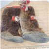 Image 2 : Moosehide Mukluks 14.5" older needs work