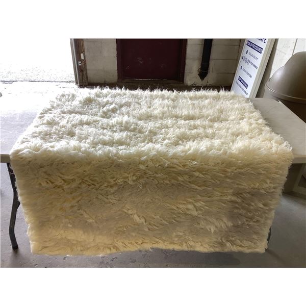 Small Cream Area Rug