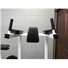 Image 2 : APEX LEG RAISE MACHINE