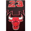 Image 2 : MICHAEL JORDAN SIGNED CHICAGO BULL LED CUSTOM FRAMED JERSEY ( 24 X 36)