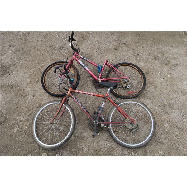 2 bicycles -1 women's, 1 men's