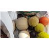 Image 2 : Lot Football / Tennis / Softballs Etc.