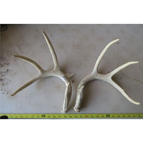 Set of Deer Sheds
