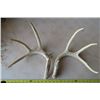 Image 1 : Set of Deer Sheds