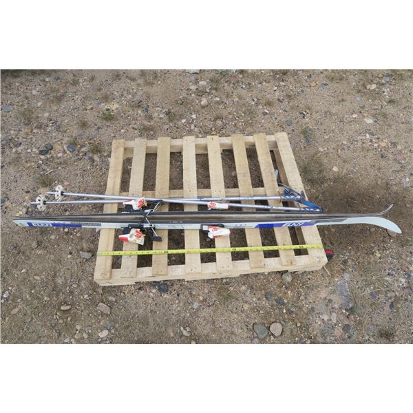 Pair of Skis With Poles