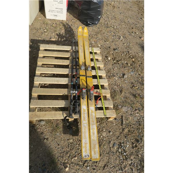 Pair of Skis With Poles