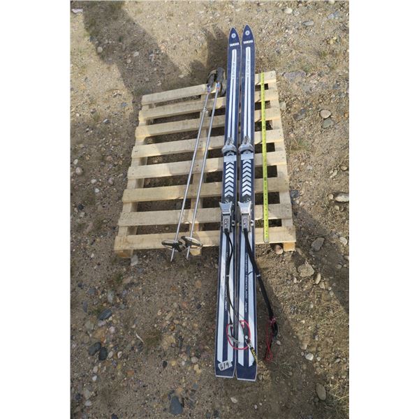 Pair of Skis With Poles