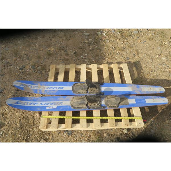 Silver Streak Water Skis