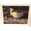 Image 1 : Carl Brenders limited edition print "Island Shores - Snowy Egret" #403/2500 signed by artist