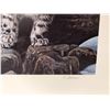 Image 3 : Terry A Isaac limited edition print "Watchful Eye - Snow Leopards" #89/1250 signed by artist