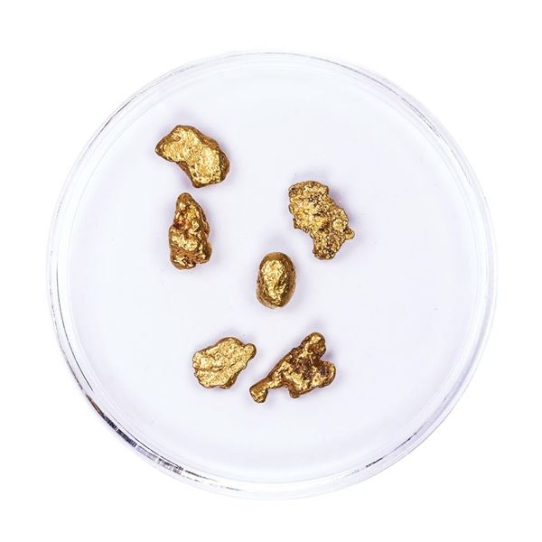 Lot of Gold Nuggets 3.06 grams Total Weight
